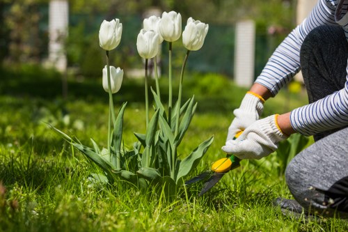 Lawn mowing and hedge trimming for Westcombe Park gardens