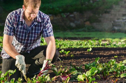 Risk assessment carried out before gardening work