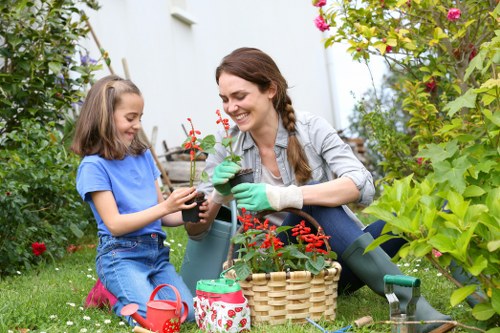 Seasonal lawn maintenance in a Westcombe Park property