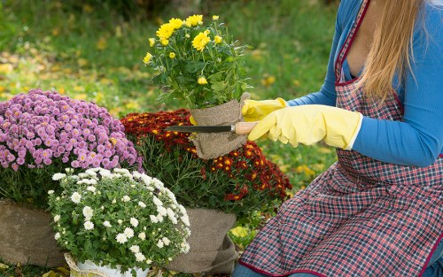Illustration representing accessible gardening services in Westcombe Park