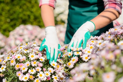 Gardeners Westcombe Park maintaining a well-kept local garden