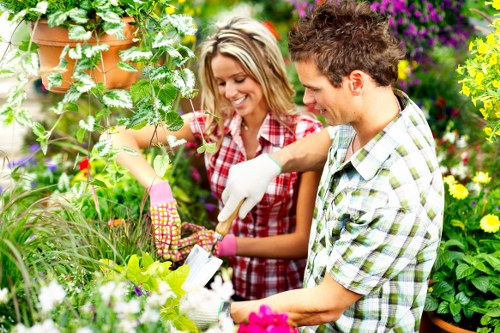 Winter lawn protection and maintenance in Westcombe Park