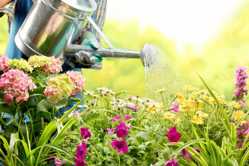 Keyboard navigation and inclusive web access for gardening information