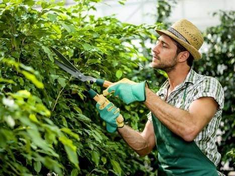 Westcombe Park gardeners using protective equipment on site