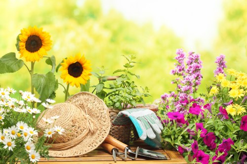 Public liability insurance and professional garden service