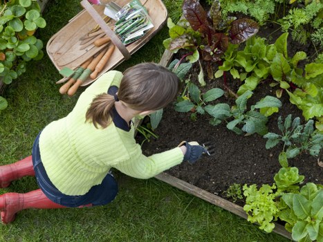 Browser controls for managing cookies on a gardening site