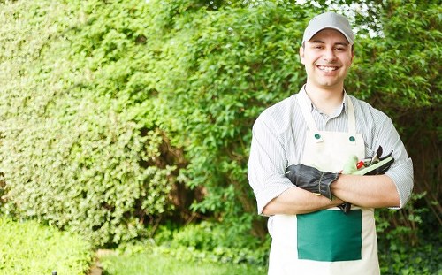 Professional garden care in Westcombe Park during seasonal maintenance