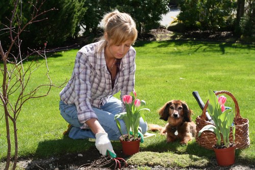Screen-reader friendly website content for local gardeners