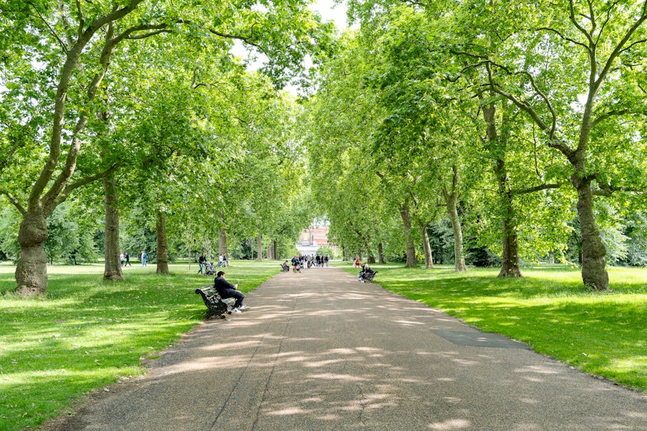 A wide, paved pathway running through a lush park lined with large, mature deciduous trees with vibrant green leaves, forming a natural canopy overhead. The pathway is bordered by well-maintained, tri