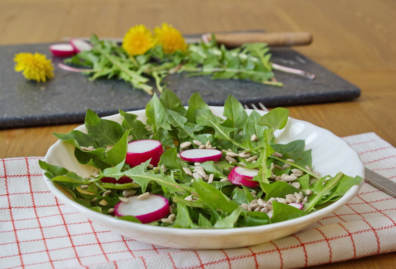 garden design Hedge trimming